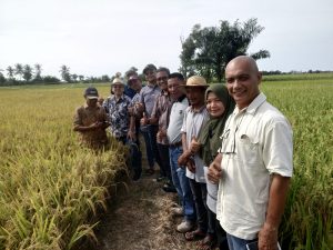 Kunjungan ke lahan persawahan petani yang mengikuti program